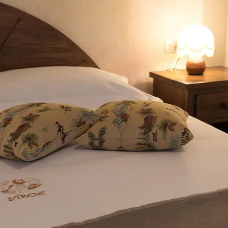 Maison Lo Triolet *
