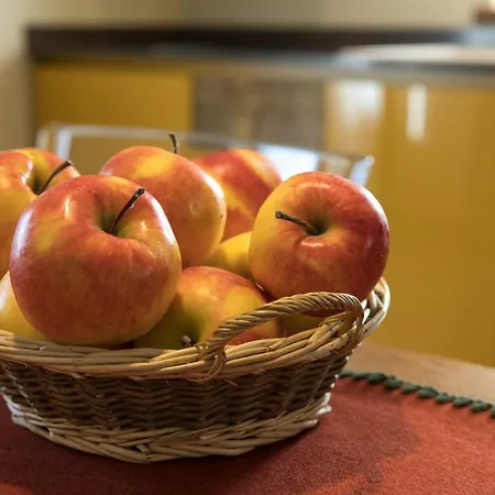 Alloggio per agriturismo Maison Lo Triolet *