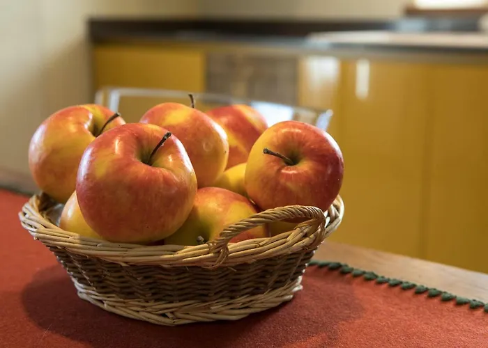 Farm stay Maison Lo Triolet *